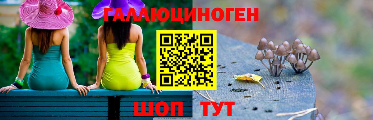 Ефремов  Галлюциногенные грибы MAGIC MUSHROOMS  Вход с VPN 
